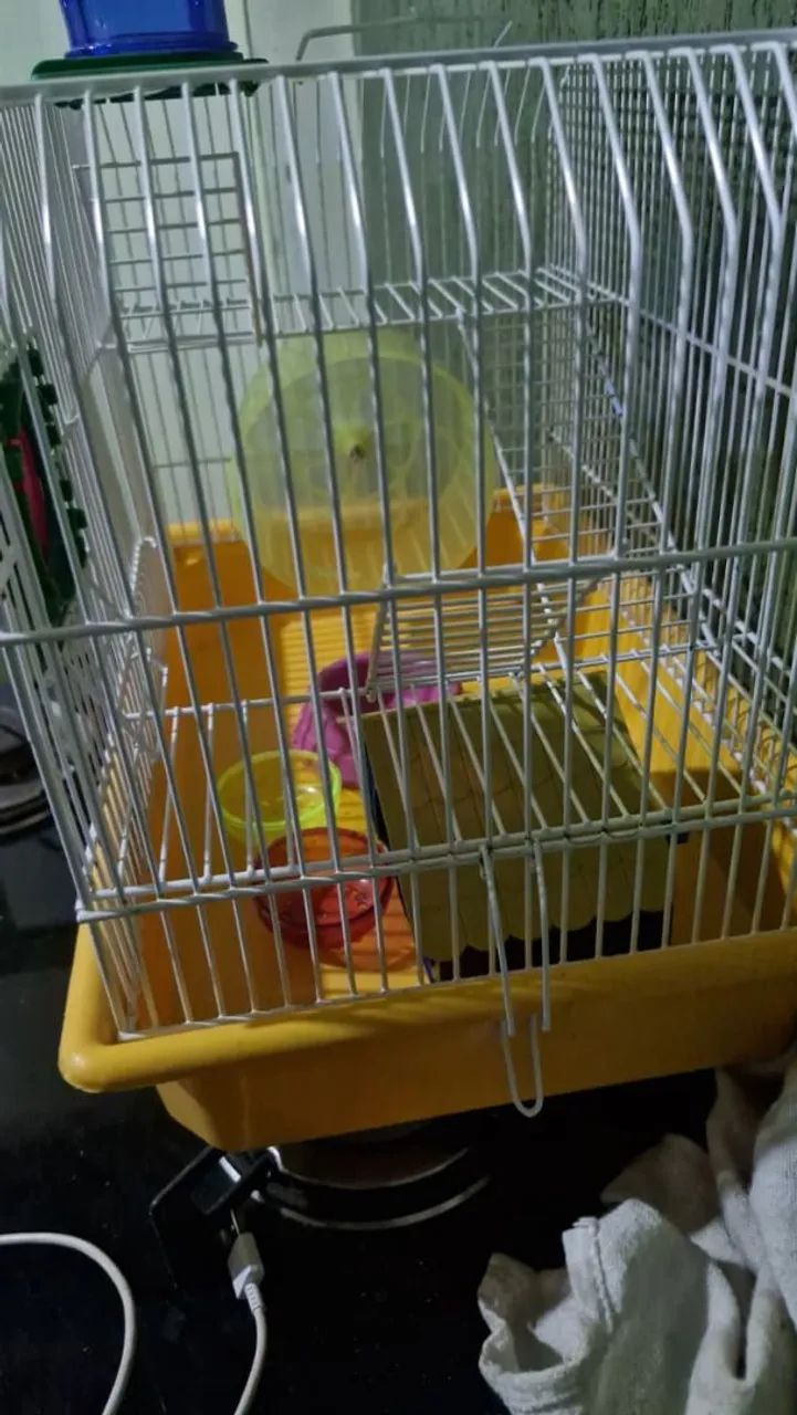 Gaiola hamster  - Foto 2