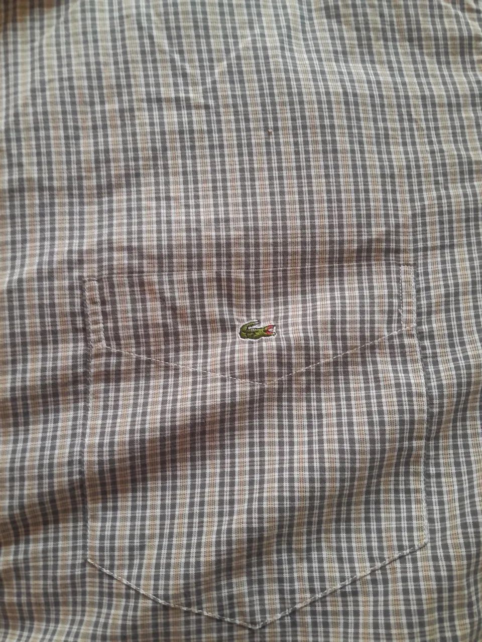 camisa estilosa lacoste