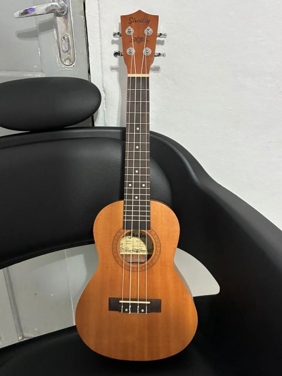 Ukulele Concert Shelby