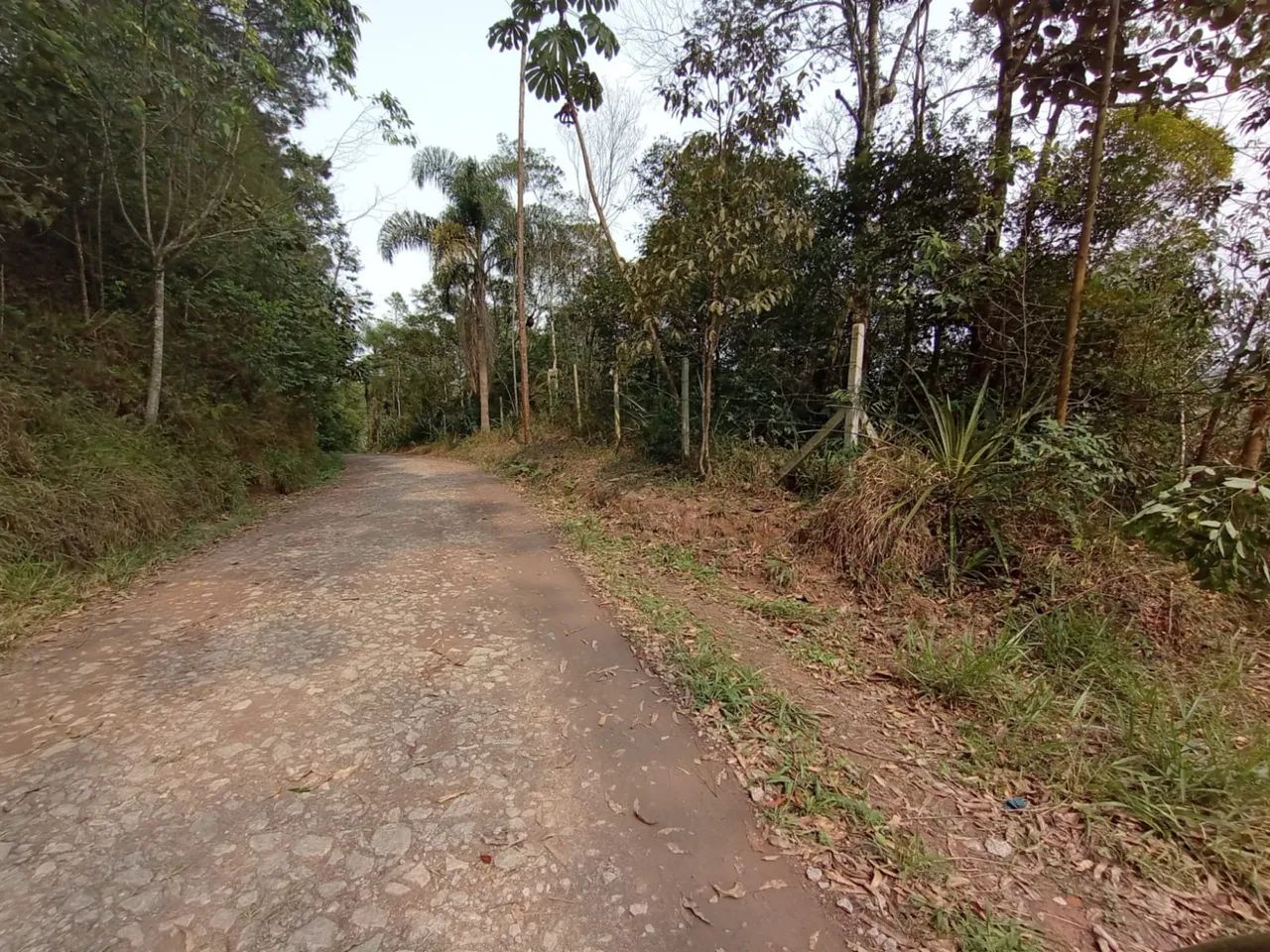 Foto - São Bernardo do Campo - Independência
