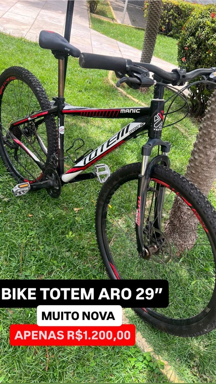 Bike TOTEM ARO 29