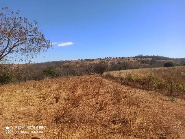 Fazenda 29 hectares | Jaborandi-BA / Coribe-BA - Foto 3