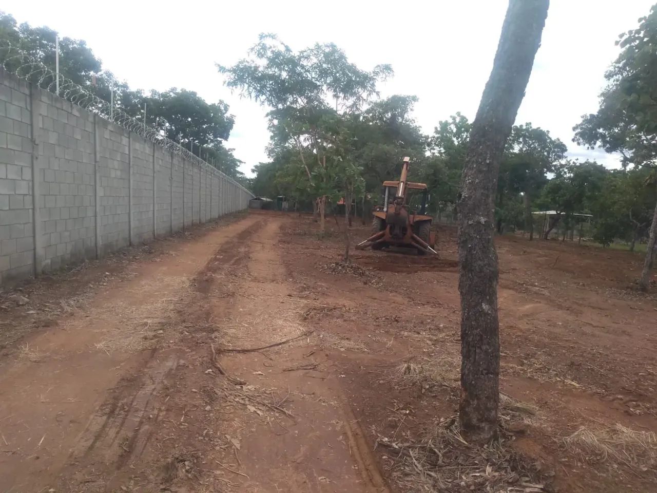 Chácara para venda com 2.976 metros quadrados - Foto 5