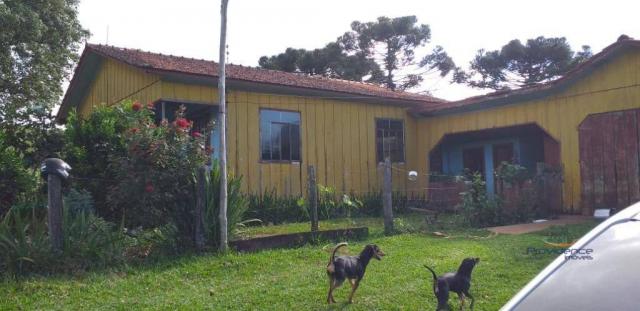 Fazenda à venda, 968000 m² por r$ 2.000.000,00 - fazenda velha - nova laranjeiras/pr - Foto 13