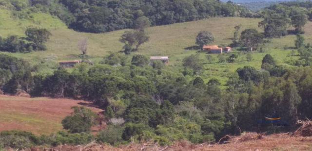 Fazenda à venda, 968000 m² por r$ 2.000.000,00 - fazenda velha - nova laranjeiras/pr - Foto 5