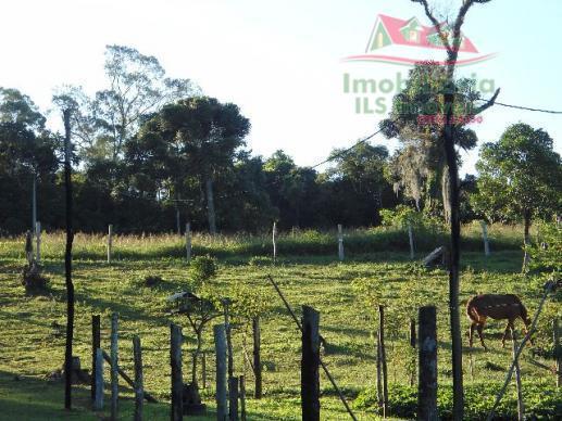 Chácara rural à venda, campo largo da roseira, são josé dos pinhais - ch0026. - Foto 8