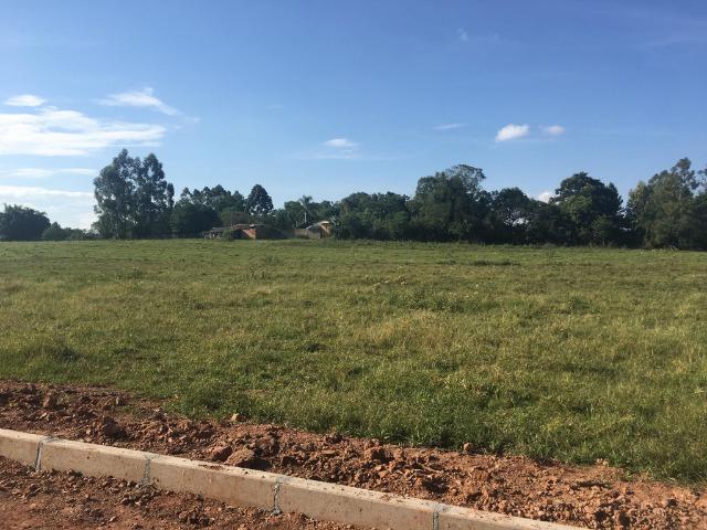 Sitio em Nova Santa Rita - Foto 3