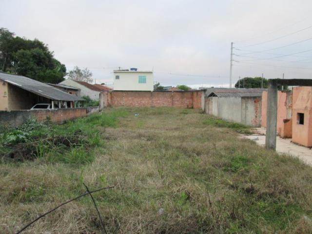 Terreno à venda, 420 m² por r$ 160.000 - rio pequeno - são josé dos pinhais/pr - Foto 2