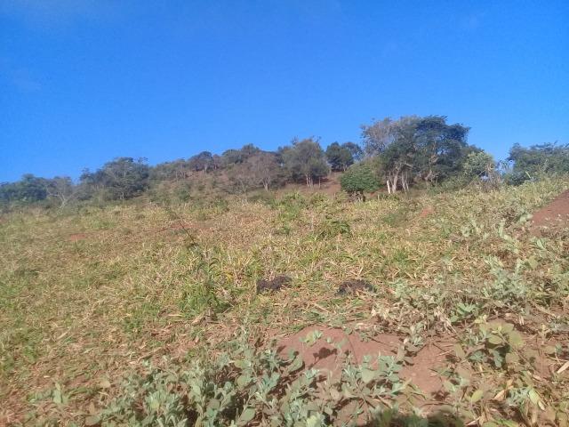 Terreno para loteamento ou pousada 20 ha no asfalto Milho Verde, Estrada Diamantina Serro - Foto 6