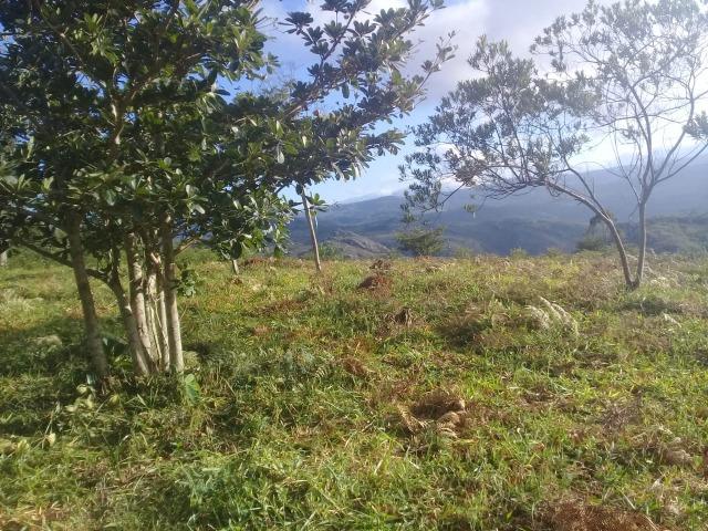 Terreno para loteamento ou pousada 20 ha no asfalto Milho Verde, Estrada Diamantina Serro - Foto 5
