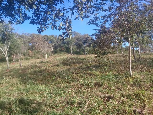 Terreno para loteamento ou pousada 20 ha no asfalto Milho Verde, Estrada Diamantina Serro - Foto 7