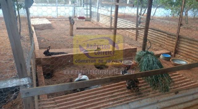Vendo Ótima Chácara Em Pombos - pombos/PE / Propriedade ID : S0678 - Foto 15