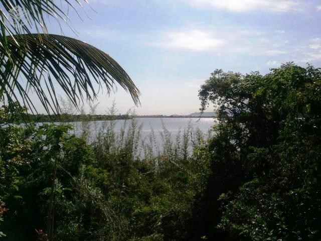 COD-130: Sítio no Jardim - Saquarema - Foto 5