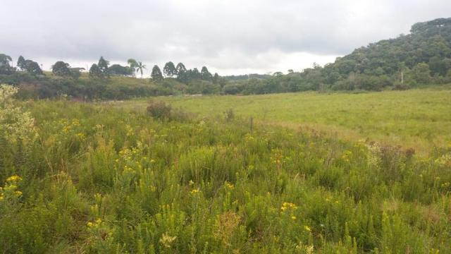 Área à venda, 103000 m² por r$ 700.000,00 - borda do campo - são josé dos pinhais/pr - Foto 8