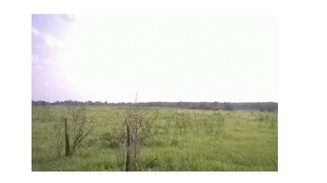 3300 Hectares, Poconé, capacidade 1300 reses, aceito permuta