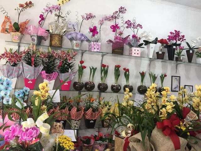 Vende se Floricultura 90.000,00 - Foto 6