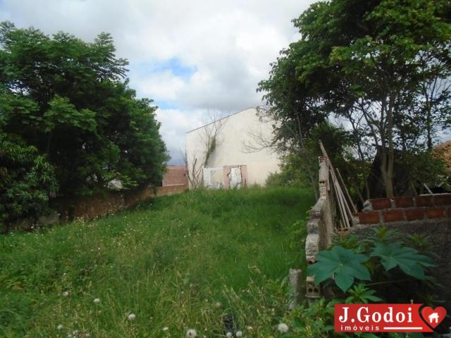 TERRENO / UBERABA - Foto 2