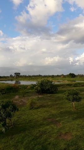 Sítio com 4,5 hectares, situado na cidade de Arari-MA - Foto 19