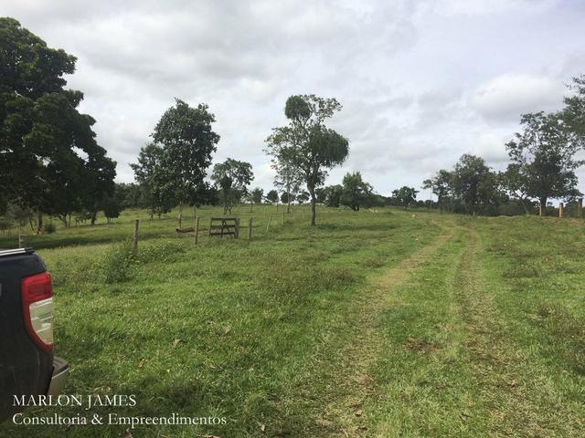 Fazenda no Município de Ipameri-Go - Foto 6