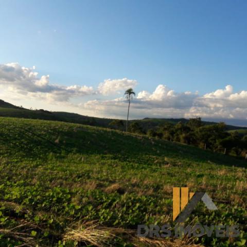 Rural sitio - Bairro Centro em Pitanga - Foto 9