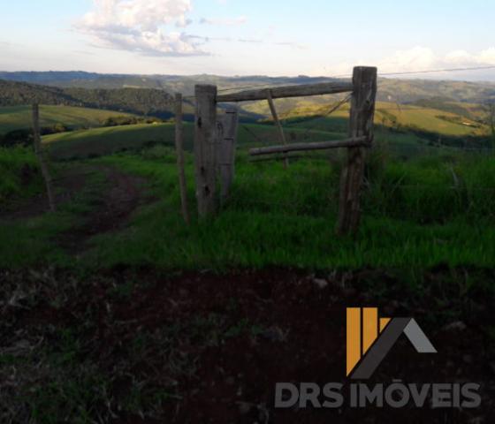 Rural sitio - Bairro Centro em Pitanga - Foto 7