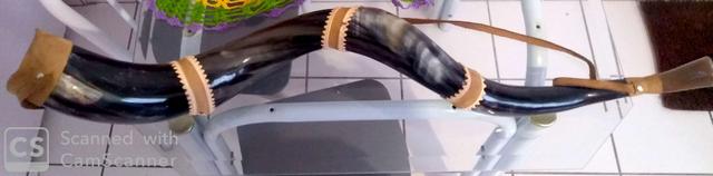 Berrante profissional - Foto 3