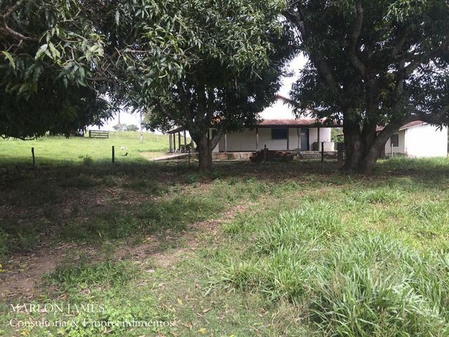 Fazenda no Município de Ipameri-Go - Foto 19