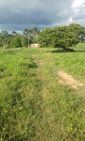 Área de Terra com 75 hectares - Foto 5