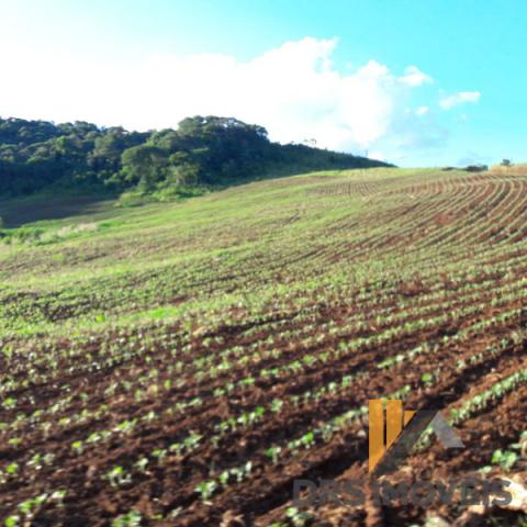 Rural sitio - Bairro Centro em Pitanga - Foto 16