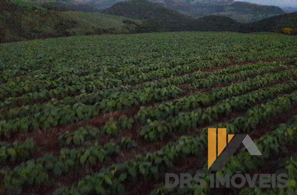 Rural sitio - Bairro Centro em Pitanga - Foto 17