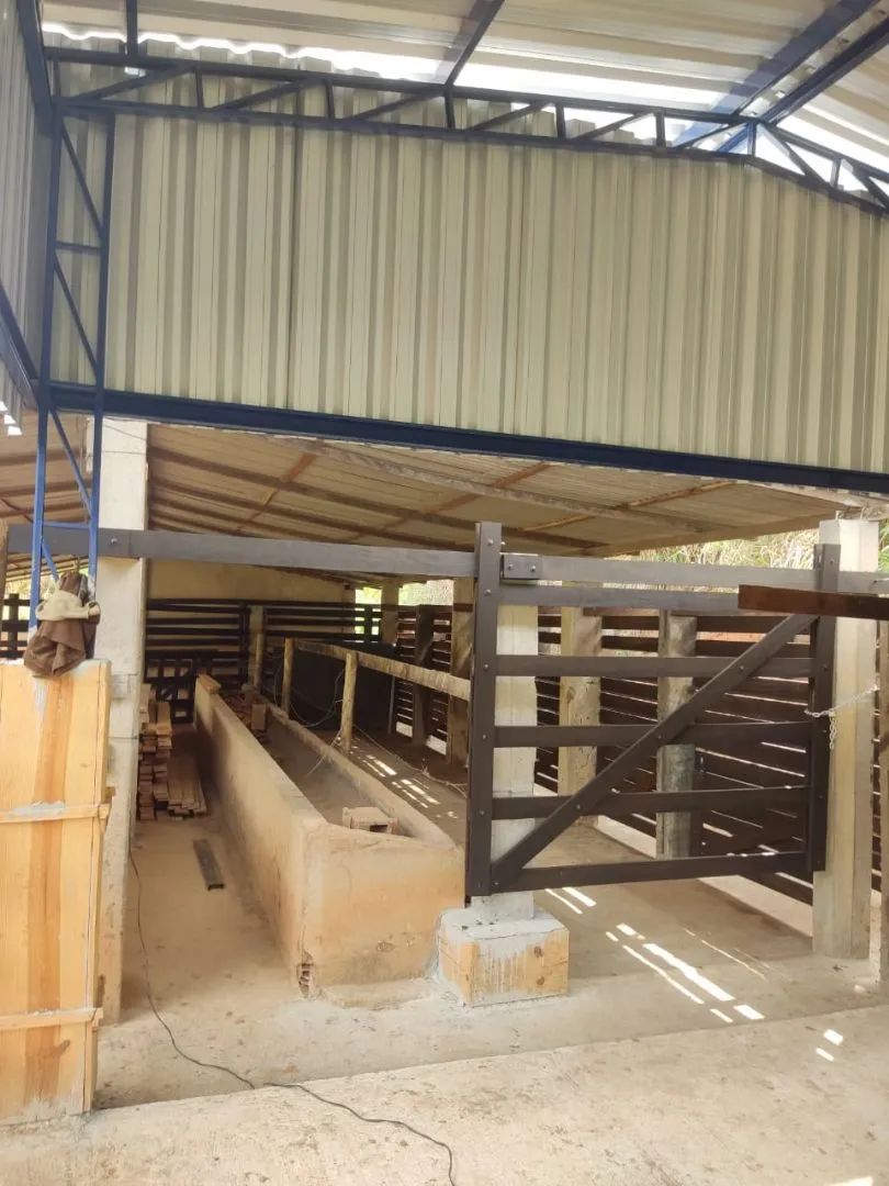 Paraíba do Sul - 11.5 alqueires. Oportunidade única! - Foto 10