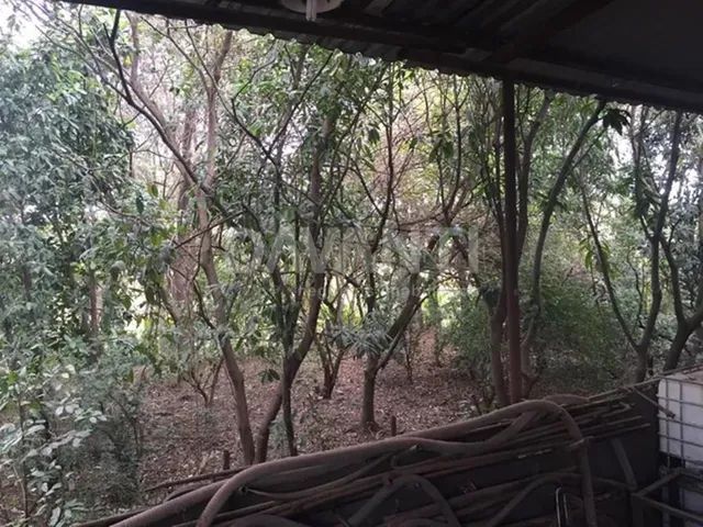 barracão - Santa Terezinha - Paulínia - Foto 3