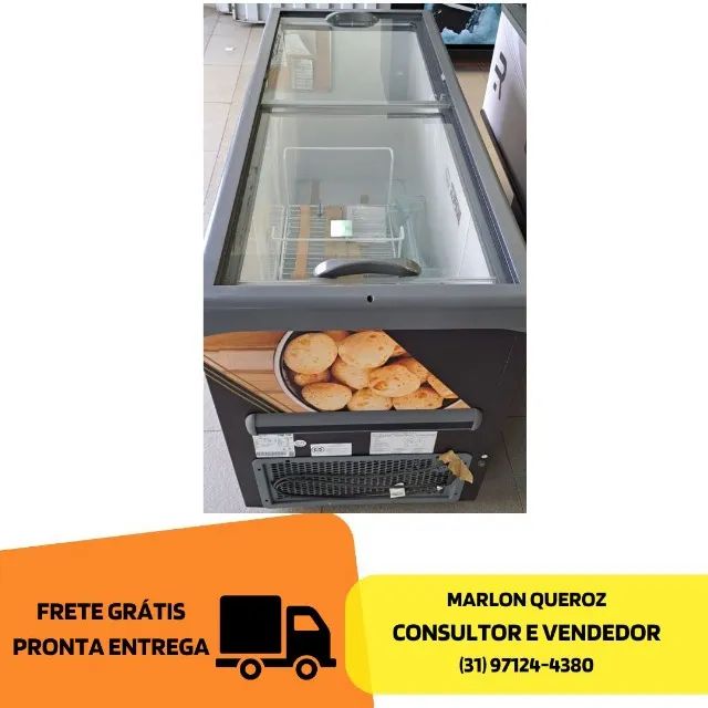 Ilha de Congelados Dupla Ação 220 Comercial