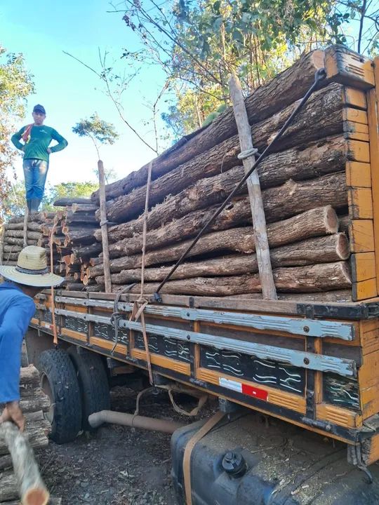 Madeira para construção de cercas - Foto 2