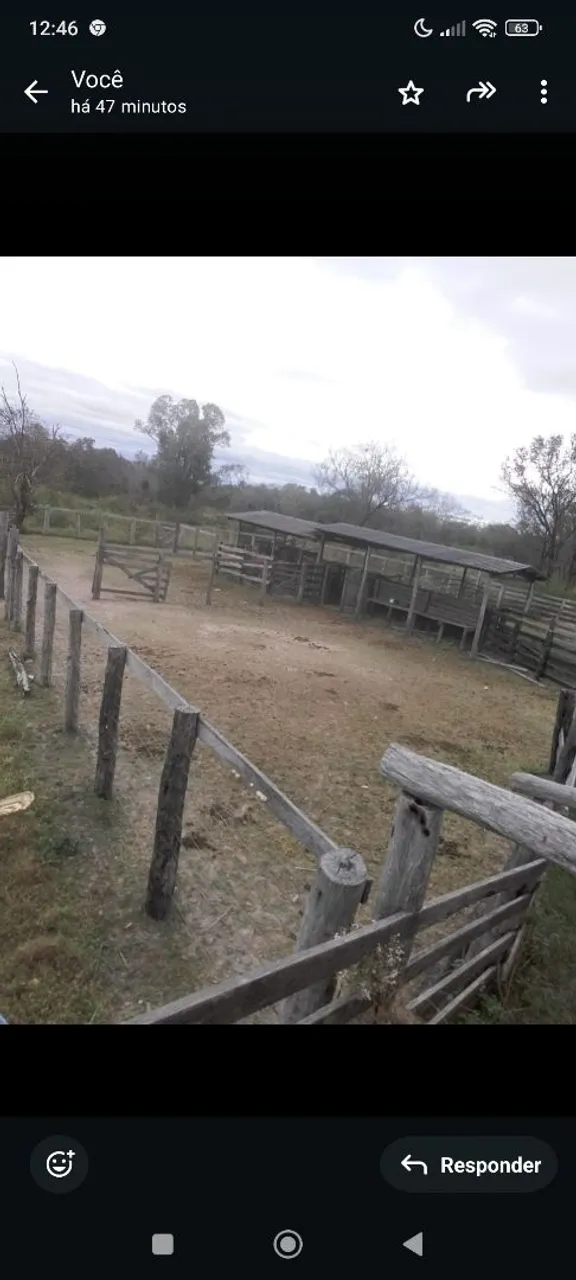 Fazenda 700 hectares em Porto Murtinho, 14 km do asfalto.