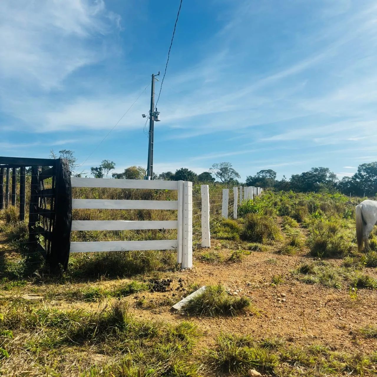 Fazenda à venda, Ótimo investimento  - Foto 2