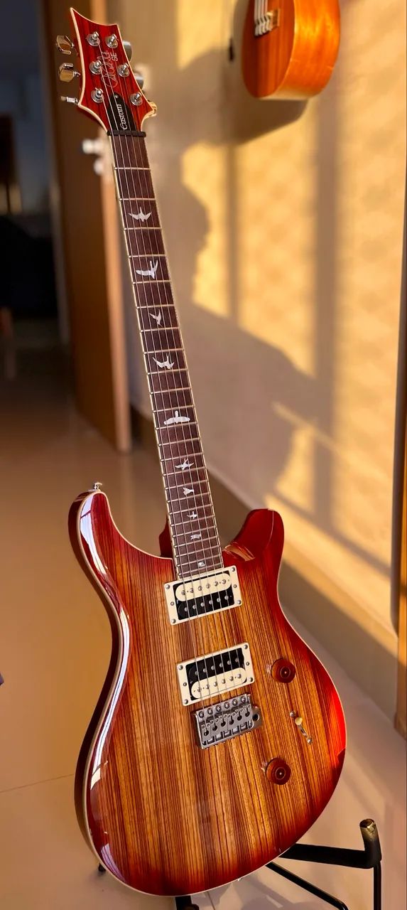 Guitars PRS Custom 24 SE Zebrawood - Foto 3
