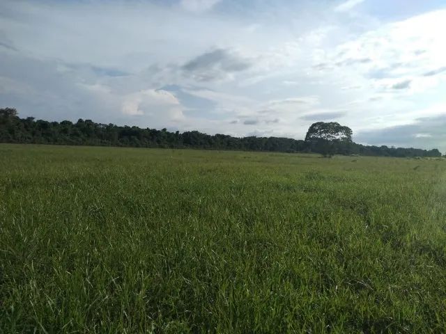 terreno - Foto 2