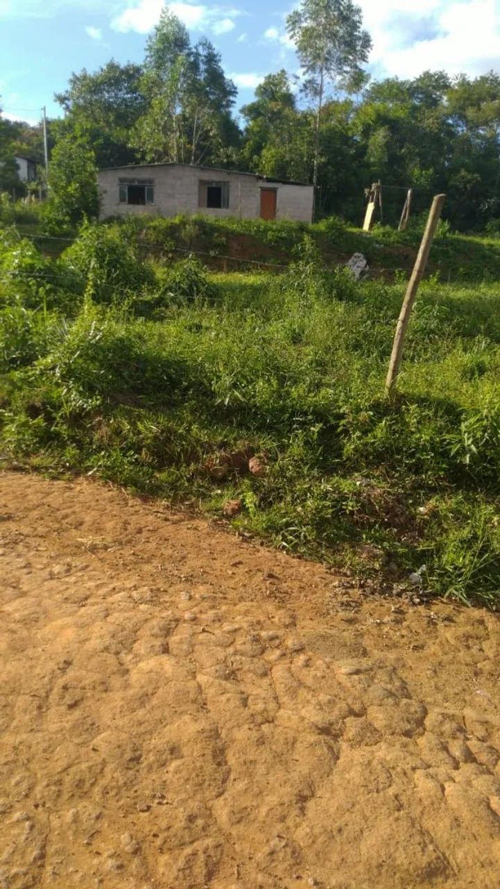 Granja em Humaitá 3 quartos - Foto 5