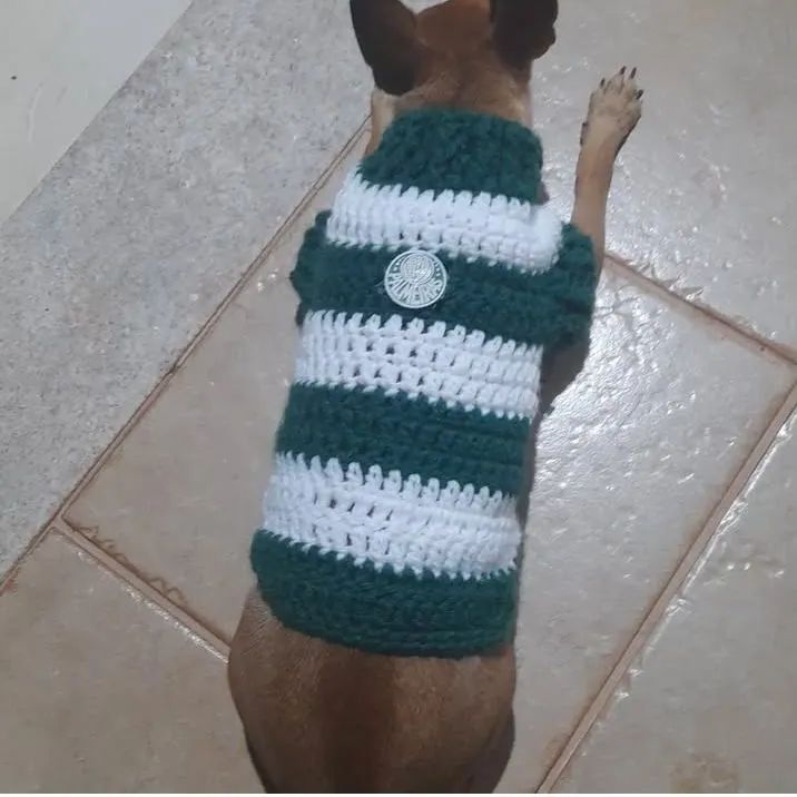 Vestido para  pet - Foto 6