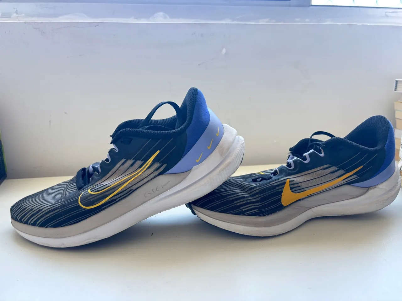 tênis nike win flo 9 corrida feminino