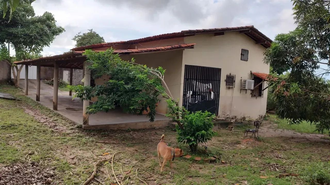 Imóvel para venda com 3500 metros quadrados com 2 quartos em Pão de Açúcar - São Luís - MA - Foto 8