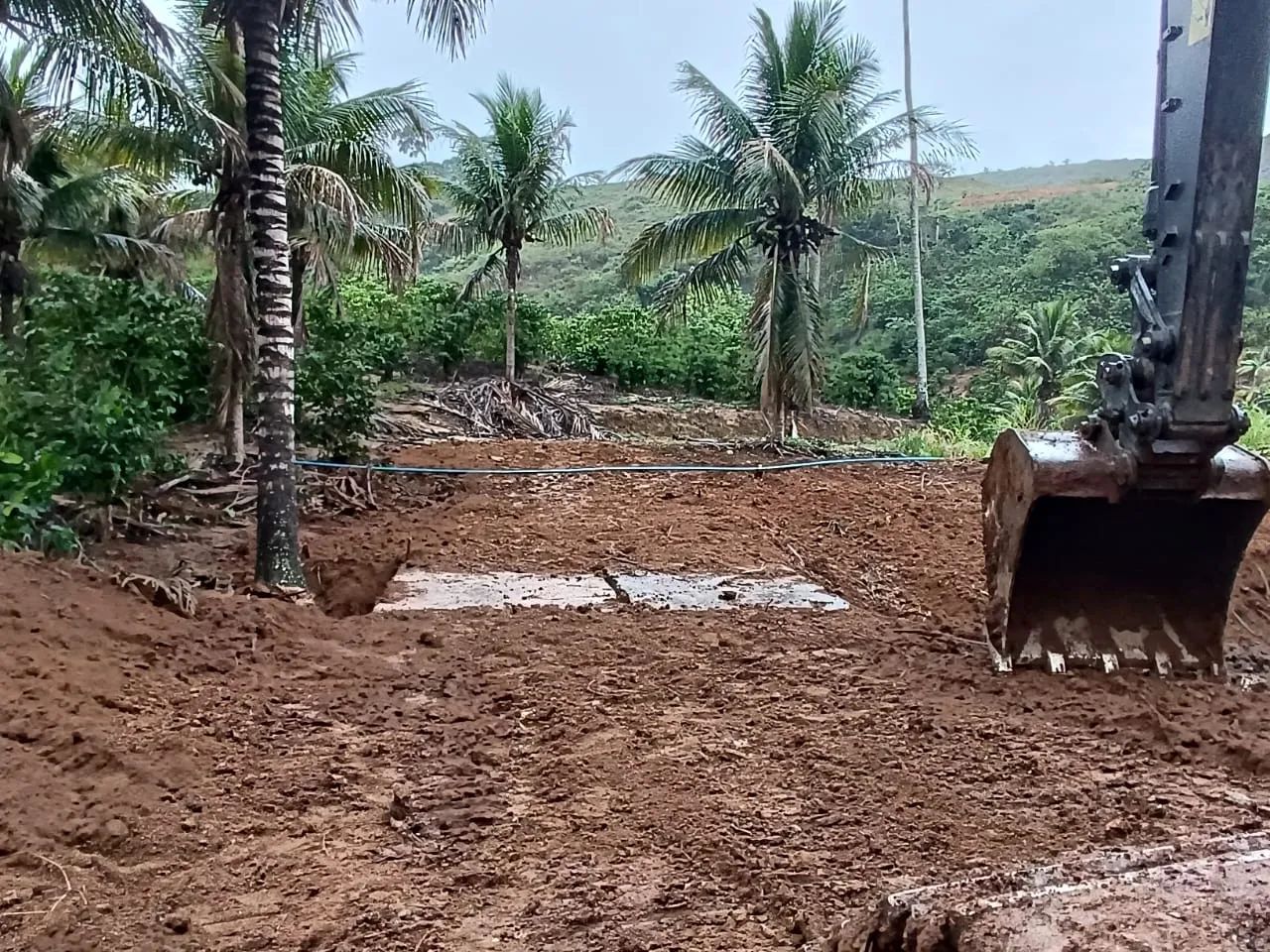 Terreno com com 2 tanques de peixe - Foto 3