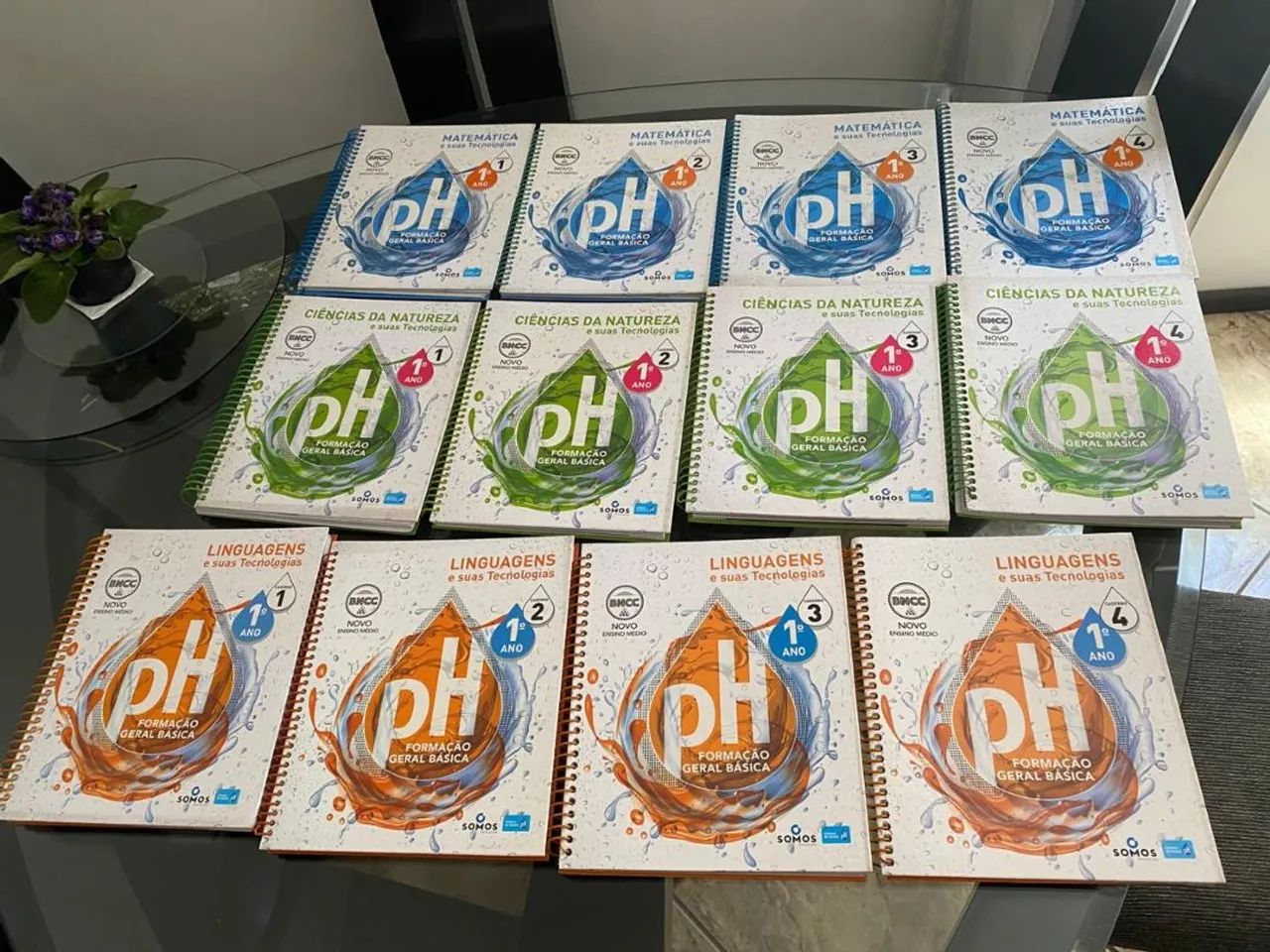 Livros sistema PH premium Ensino médio - 1° ano