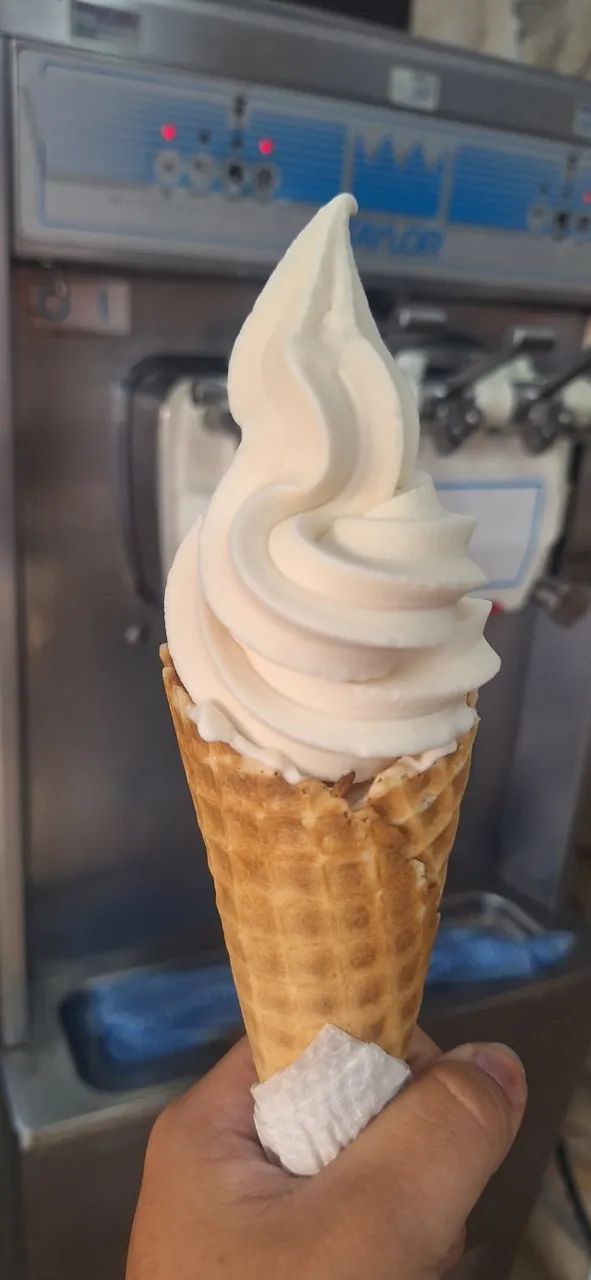 Máquina de Sorvete Taylor Modelo 336