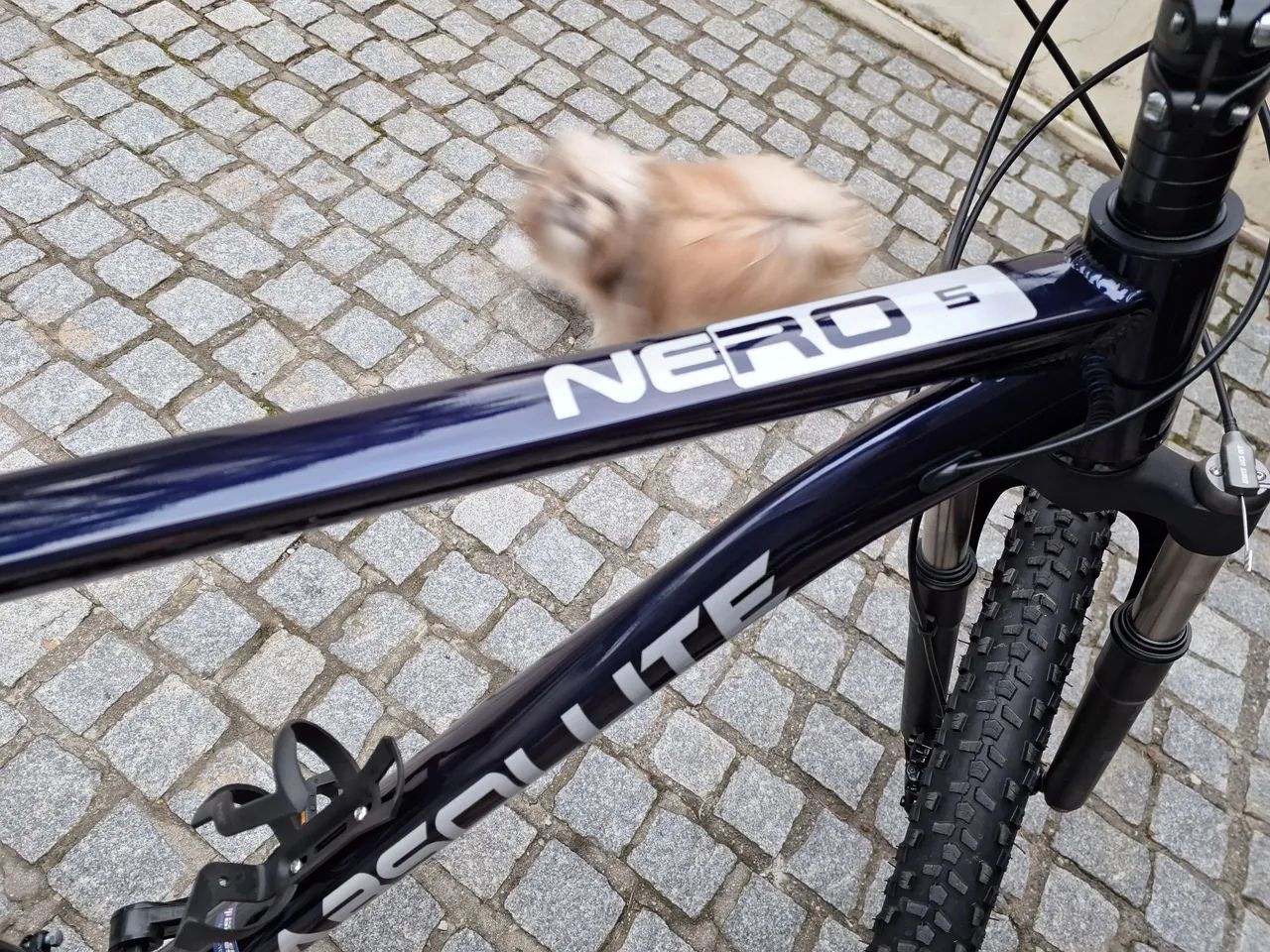 Bike aro 29
