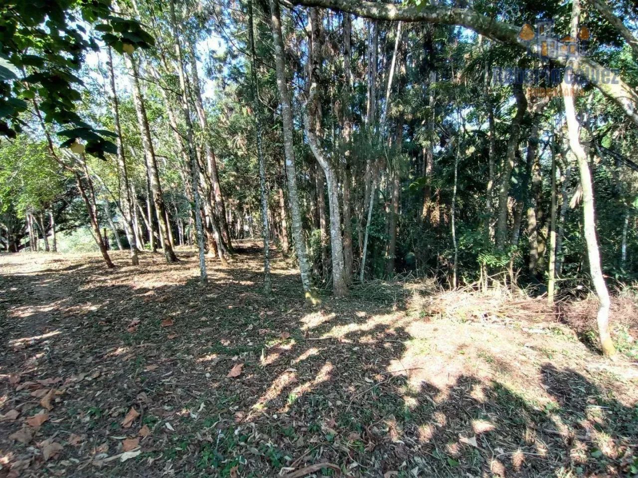 Terreno com boa topografia - Nova Friburgo/RJ - Foto 4