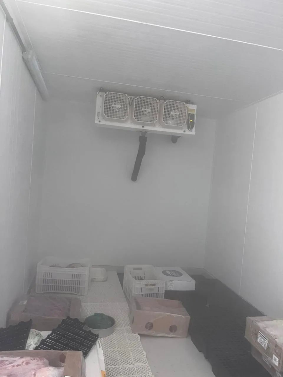 Câmara fria - Foto 2