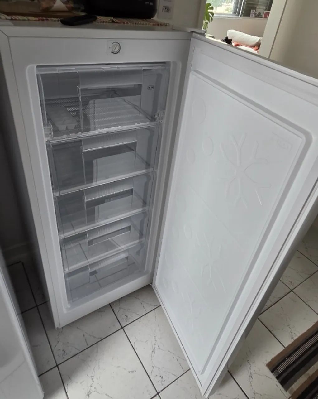 Freezer Vertical EOS 154L - Foto 2