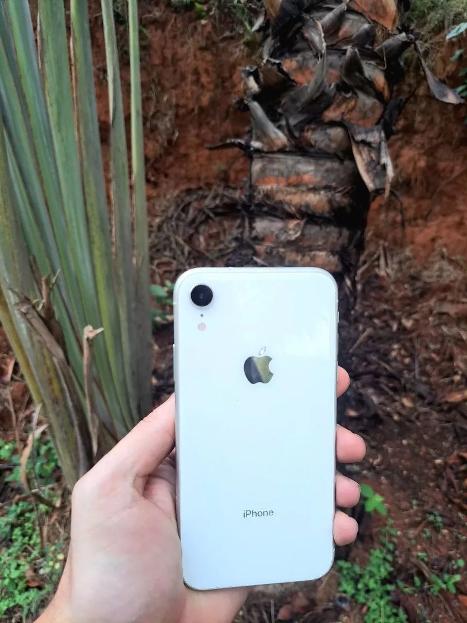 Iphone XR - 64gb - Original 